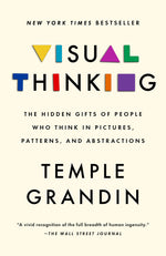 Book cover for Visual Thinking: The Hidden Gifts of People Who Think in Pictures, Patterns, and Abstractions