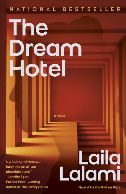 Book cover for Dream Hotel