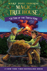 Book cover for Time of the Turtle King