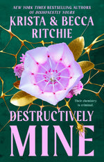 Book cover for Destructively Mine