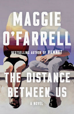 Book cover for The Distance Between Us