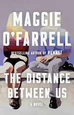 Book cover for The Distance Between Us