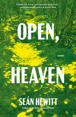 Book cover for Open, Heaven