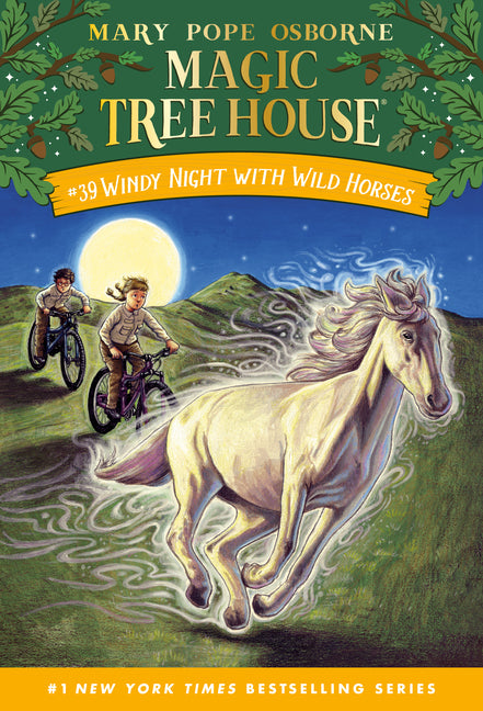 Book cover for Windy Night with Wild Horses