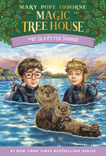 Book cover for Sea Otter Sunrise