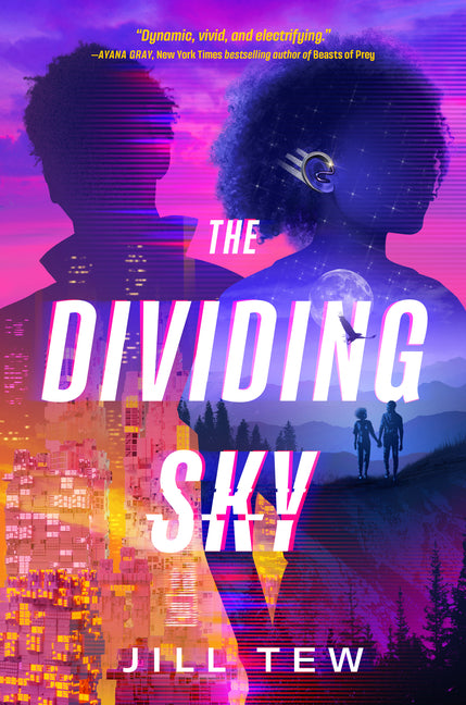 Book cover for Dividing Sky