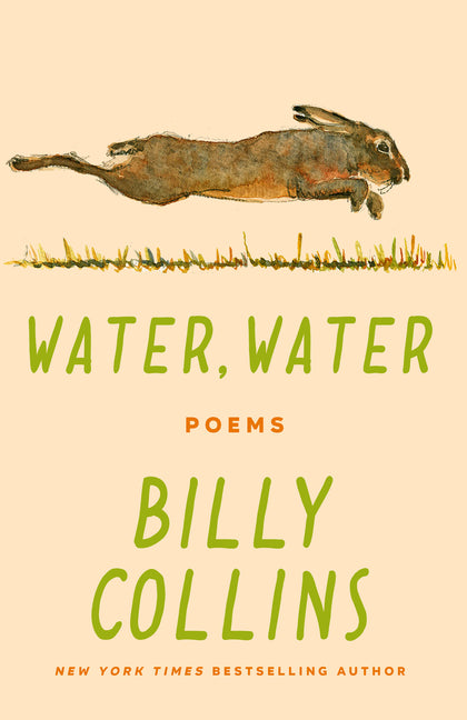 Book cover for Water, Water: Poems