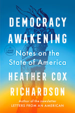 Book cover for Democracy Awakening: Notes on the State of America