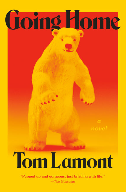 Book cover for Going Home