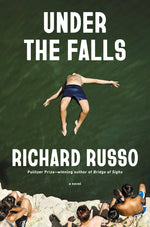 Book cover for Under the Falls