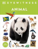 Book cover for Eyewitness Animal