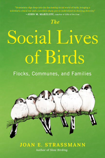 Book cover for Social Lives of Birds: Flocks, Communes, and Families