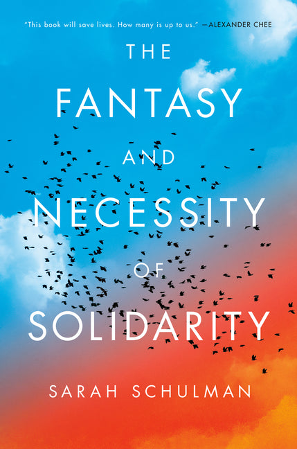 Book cover for Fantasy and Necessity of Solidarity