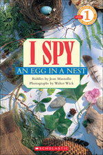 Book cover for I Spy an Egg in a Nest