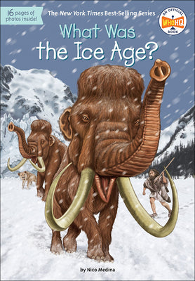 Book cover for What Was the Ice Age?