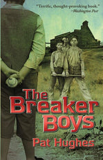 Book cover for Breaker Boys