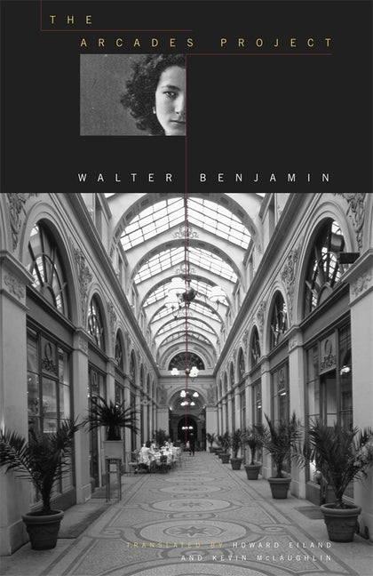 Book cover for The Arcades Project