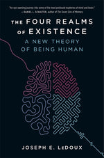 Book cover for Four Realms of Existence: A New Theory of Being Human