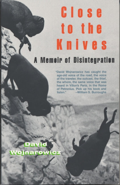 Book cover for Close to the Knives: A Memoir of Disintegration