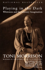 Book cover for Playing in the Dark: Whiteness and the Literary Imagination