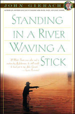 Book cover for Standing in a River Waving a Stick