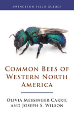 Book cover for Common Bees of Western North America