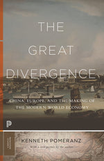Book cover for Great Divergence: China, Europe, and the Making of the Modern World Economy