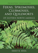 Book cover for Ferns, Spikemosses, Clubmosses, and Quillworts of Eastern North America