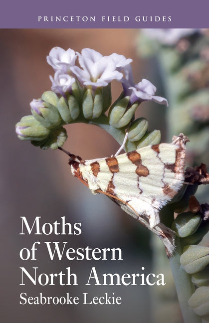 Book cover for Moths of Western North America