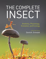 Book cover for The Complete Insect: Anatomy, Physiology, Evolution, and Ecology