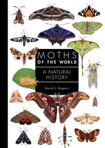 Book cover for Moths of the World: A Natural History