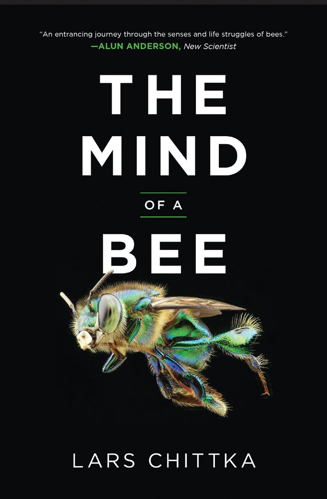 Book cover for The Mind of a Bee