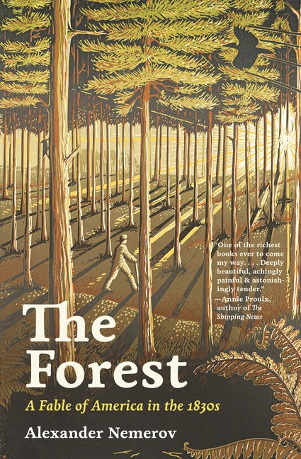 Book cover for Forest: A Fable of America in the 1830s