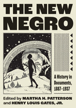 Book cover for New Negro: A History in Documents, 1887-1937