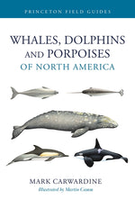 Book cover for Whales, Dolphins, and Porpoises of North America