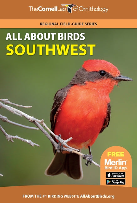 Book cover for All about Birds Southwest