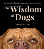 Book cover for Wisdom of Dogs: The Adorable and Funny New Book from the Photographer Behind the Bestselling Quokka's Guide to Happiness and Zen Dogs