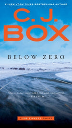 Book cover for Below Zero