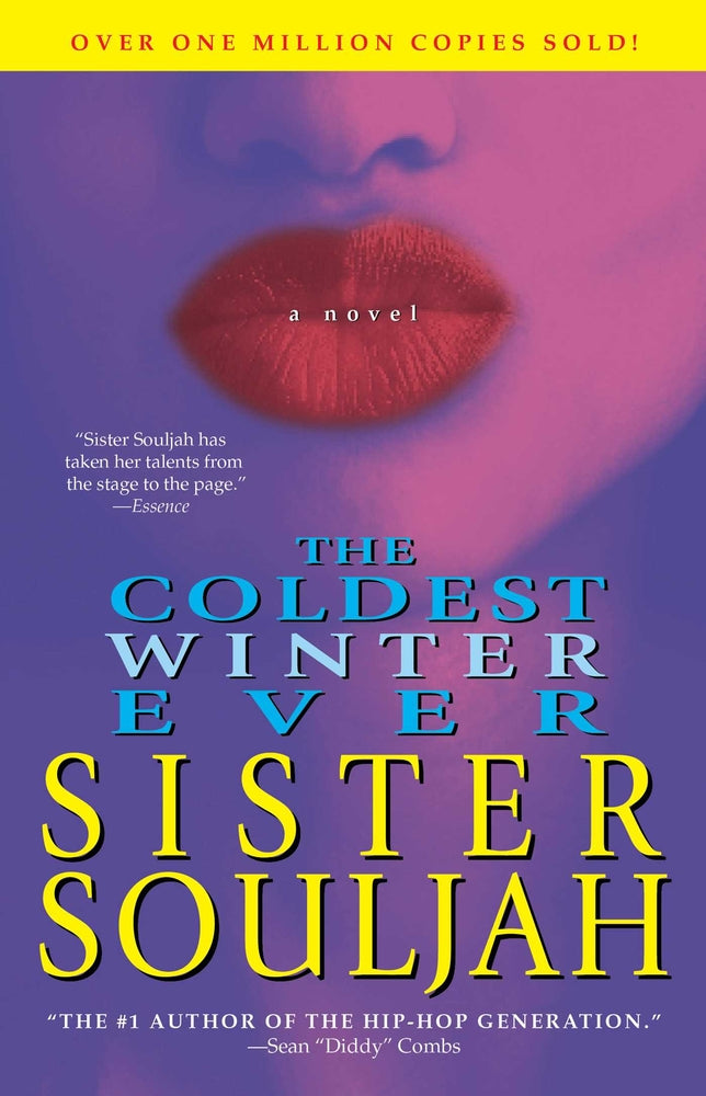 Book cover for The Coldest Winter Ever