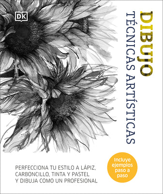 Book cover for Dibujo: Técnicas Artísticas (Artist's Drawing Techniques)