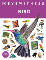 Book cover for Eyewitness Bird