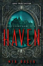 Book cover for Haven