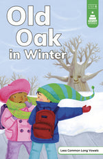 Book cover for Old Oak in Winter