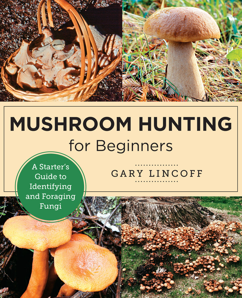 Book cover for Mushroom Hunting for Beginners: A Starter's Guide to Identifying and Foraging Fungi