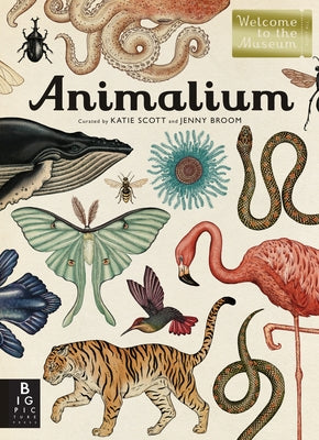 Book cover for Animalium: Welcome to the Museum