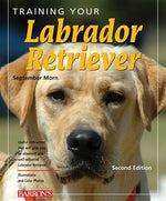 Book cover for Training Your Labrador Retriever (Revised)