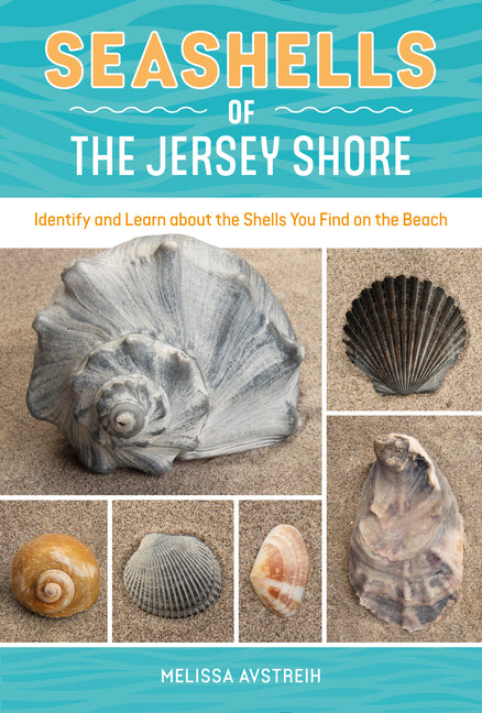 Book cover for Seashells of the Jersey Shore: Identify and Learn about the Shells You Find on the Beach
