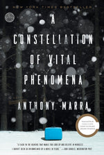 Book cover for A Constellation of Vital Phenomena