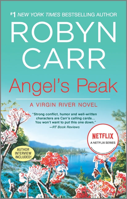Book cover for Angel's Peak