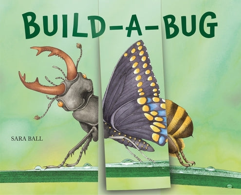 Book cover for Build-A-Bug